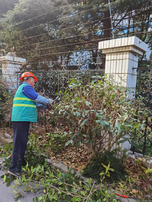 602f253b262fd.png 圖片2.png