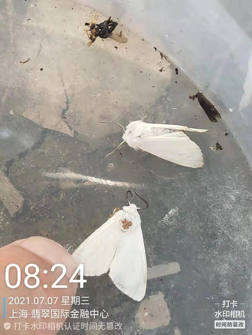 60ffaea44ce88.png 圖片1.png